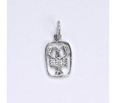 Zlatý přívěsek, znamení zvěrokruhu rak, bílé zlato,14 kt, P 730