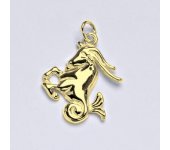 Zlatý přívěsek,znamení zvěrokruhu kozoroh,žluté zlato,14 kt, P 982