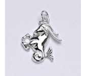 Zlatý přívěsek,znamení zvěrokruhu kozoroh,bílé zlato,14 kt, P 982