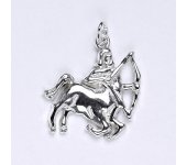 Zlatý přívěsek,znamení zvěrokruhu střelec,bílé zlato,14 kt, P 982