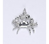 Zlatý přívěsek krab, přívěsek ze zlata, bílé zlato,14 kt, P 990