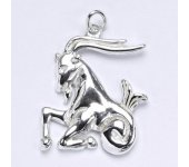 Zlatý přívěsek, znamení zvěrokruhu kozoroh, bílé zlato,14 kt, P 941