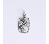 Zlatý přívěsek, znamení zvěrokruhu lev, bílé zlato,14 Kt, P 730