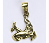Zlatý přívěsek, znamení zvěrokruhu, Kozoroh, žluté zlato, váha 2,50 g 